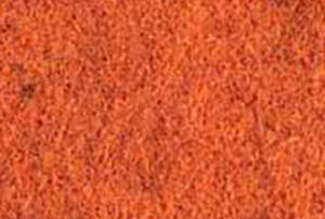 AUTUMN -