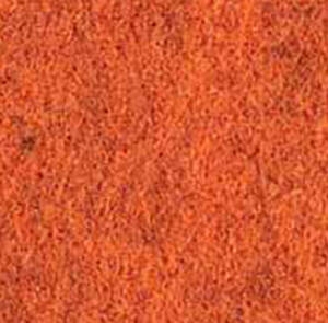 AUTUMN -