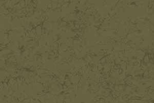 BOG
