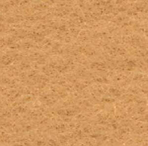 CAMEL -