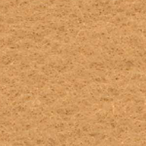 CAMEL -