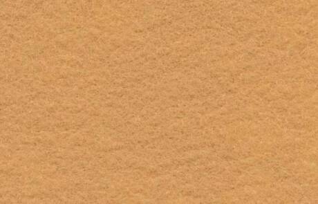 CAMEL -