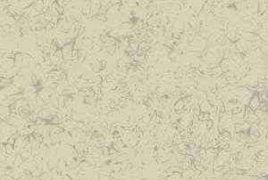 EDELWEISS -
