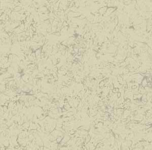 EDELWEISS -