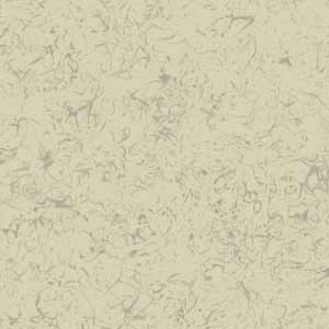 EDELWEISS -