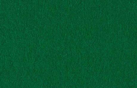FOREST -