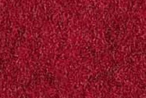 Garnet -