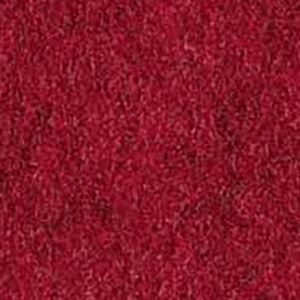 Garnet -