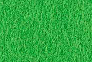 JUNGLE -