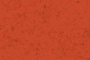MAGMA -