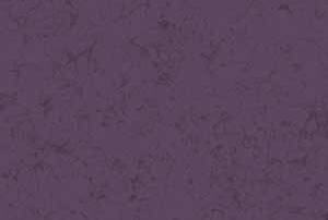 NIGHTSHADE -