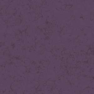 NIGHTSHADE -
