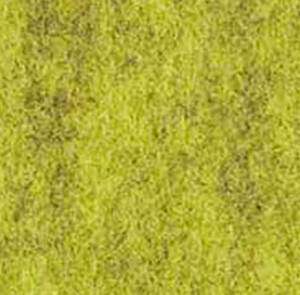Pistachio