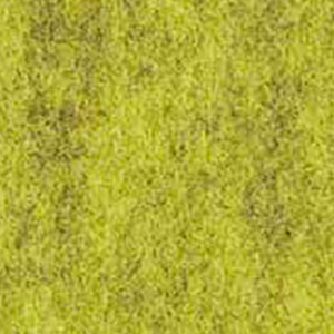 Pistachio