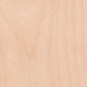 White-Birch