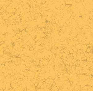 Solar